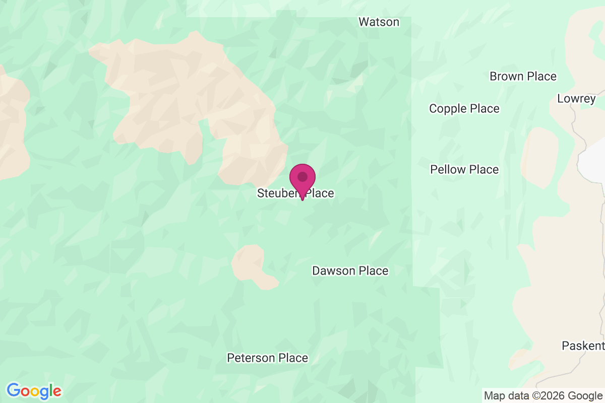 Carte de Steuben Place