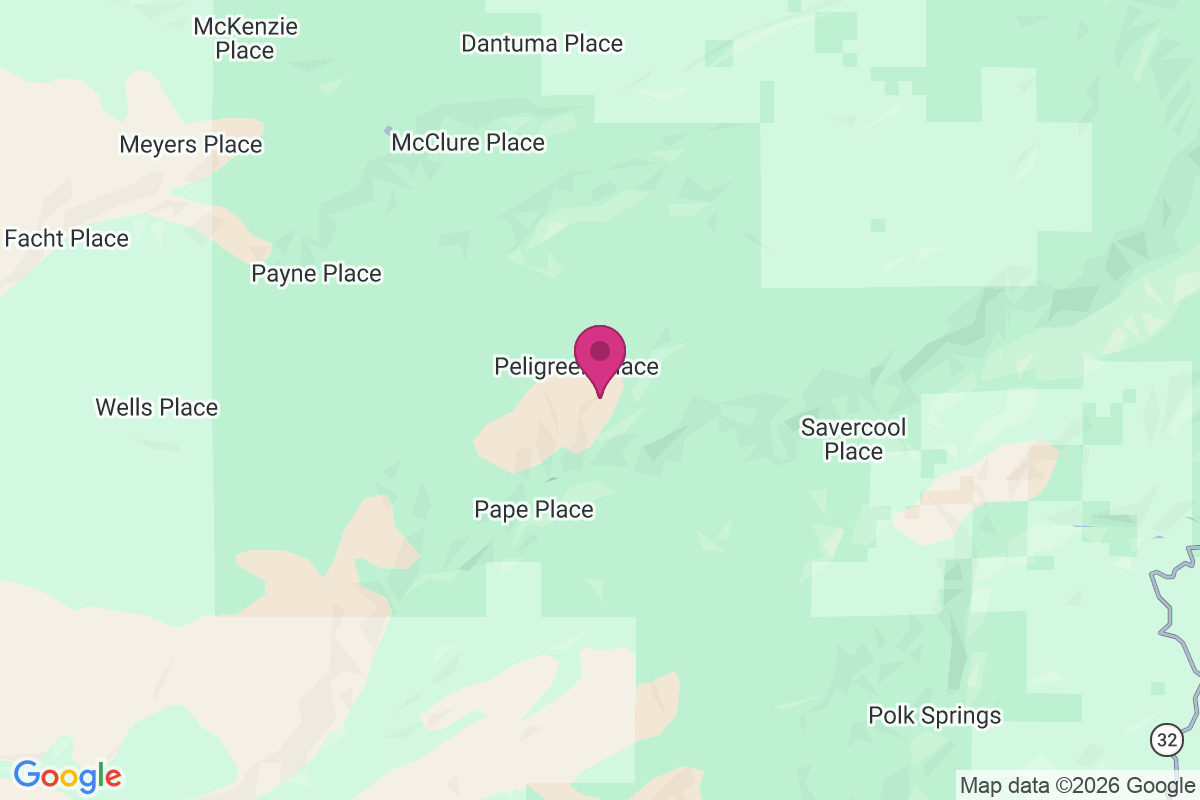Carte de Peligreen Place