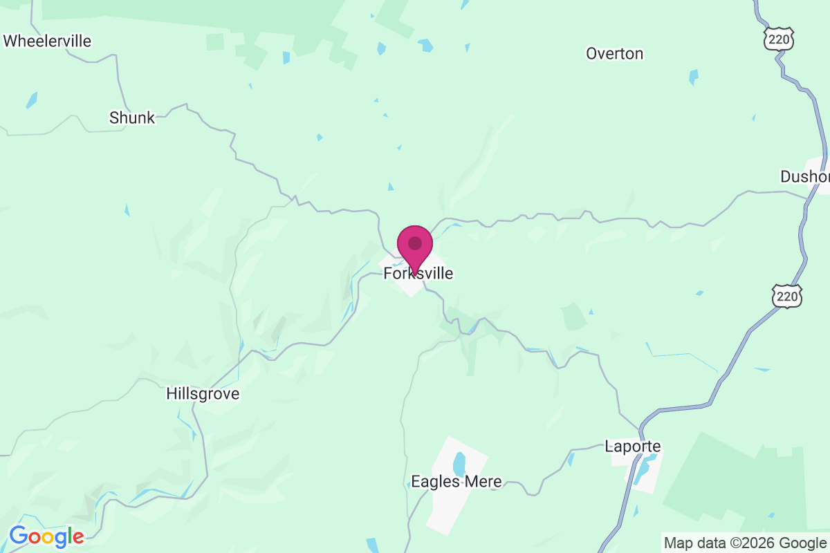 Carte de Forksville
