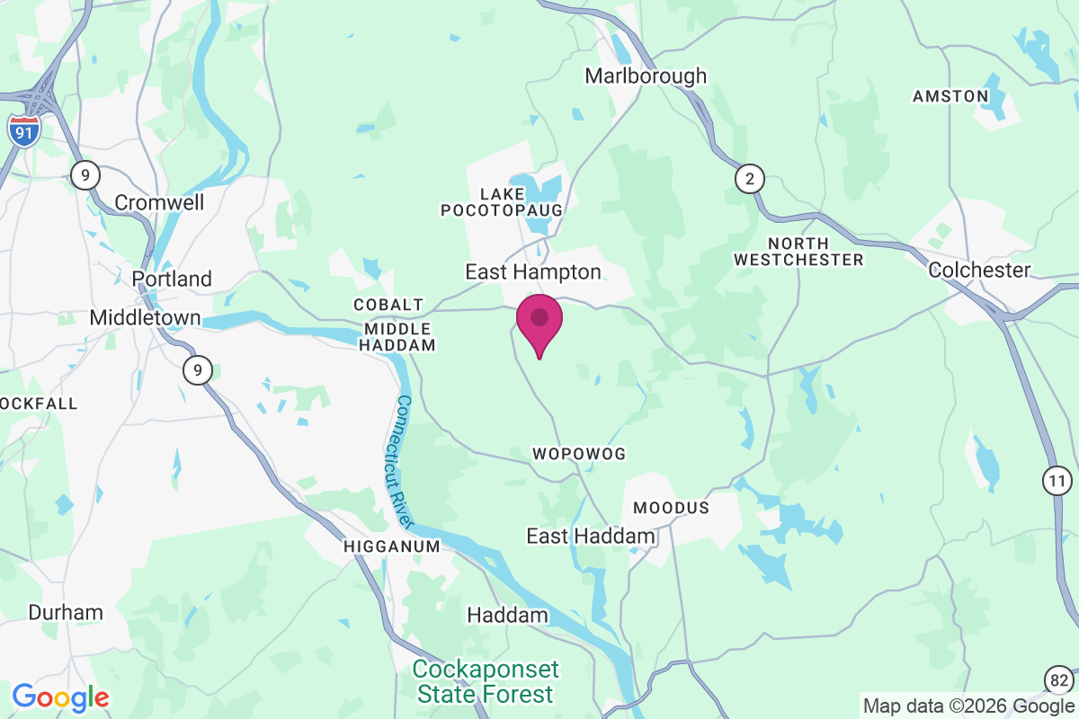 Carte de Skinnerville