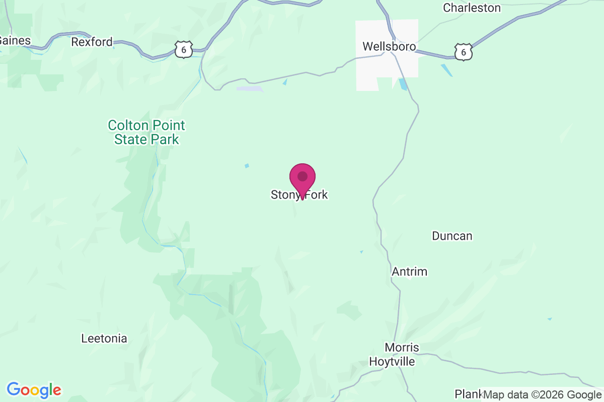Carte de Stony Fork