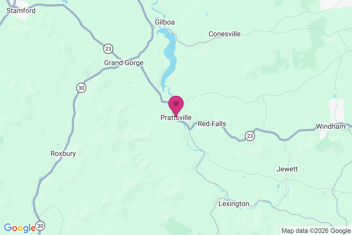 Carte de Prattsville