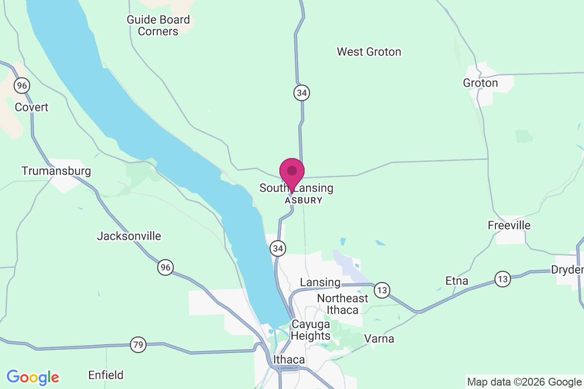 Carte de South Lansing