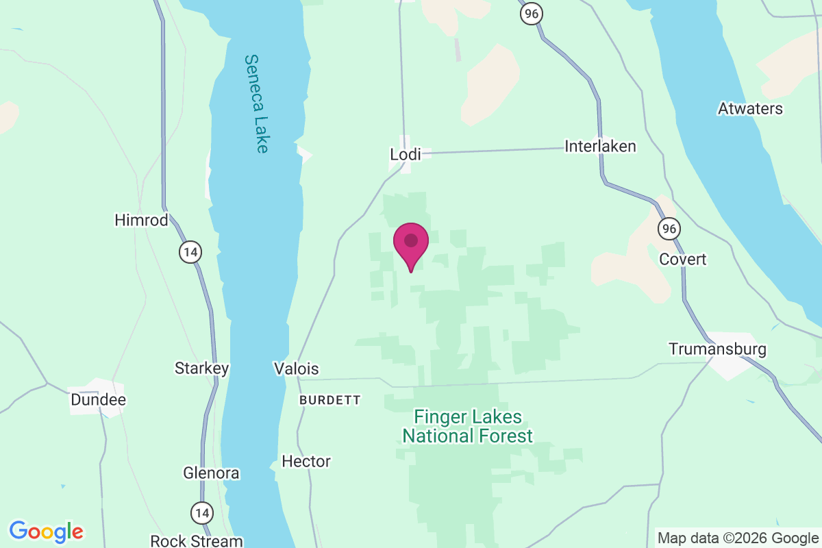 Carte de Lodi Center