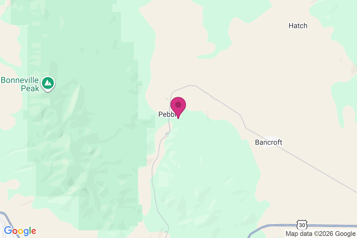 Carte de Pebble