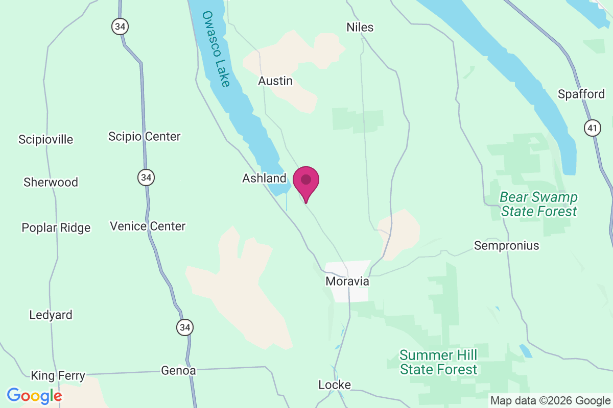 Carte de Southeast Owasco