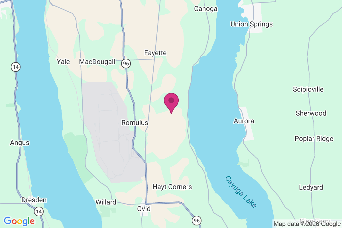 Carte de McDuffie Town