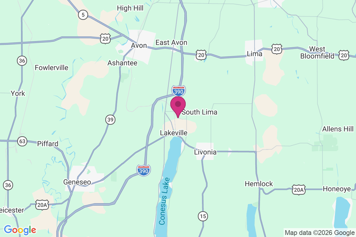 Carte de Conesus Lake Junction