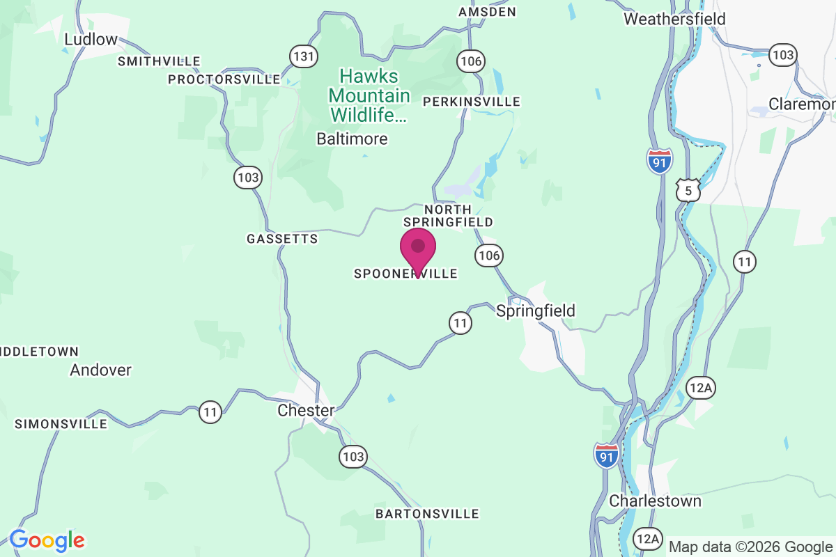 Carte de Spoonerville