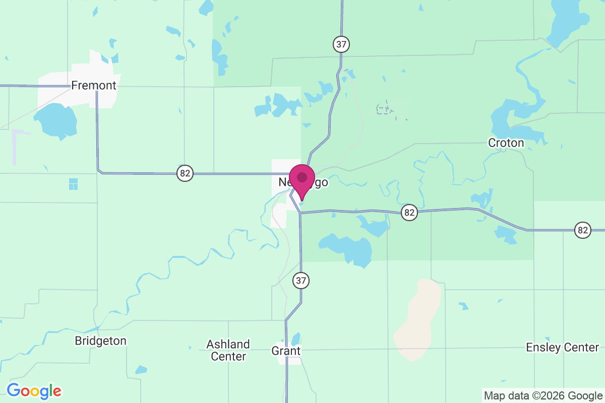 Carte de Newaygo