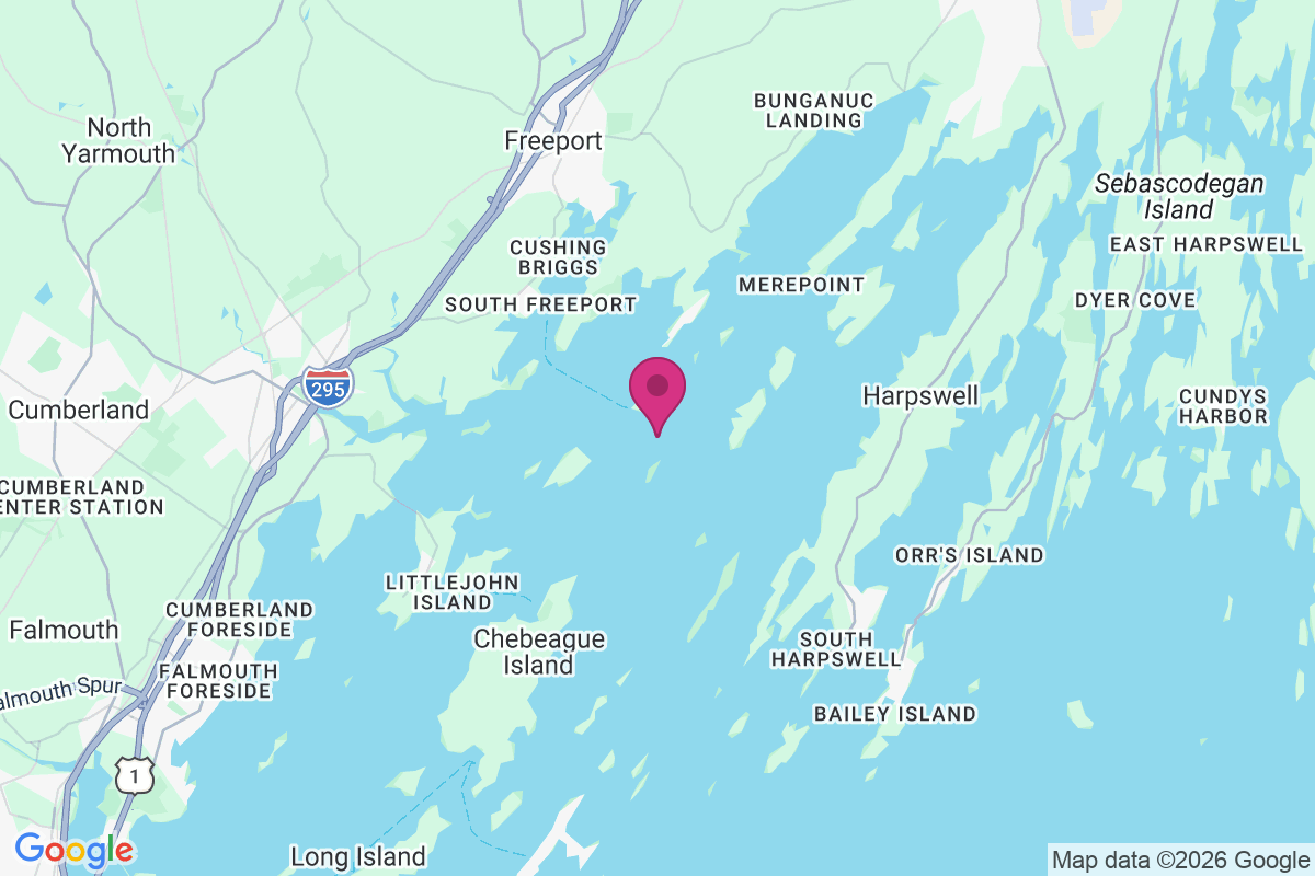 Carte de Bustins Island