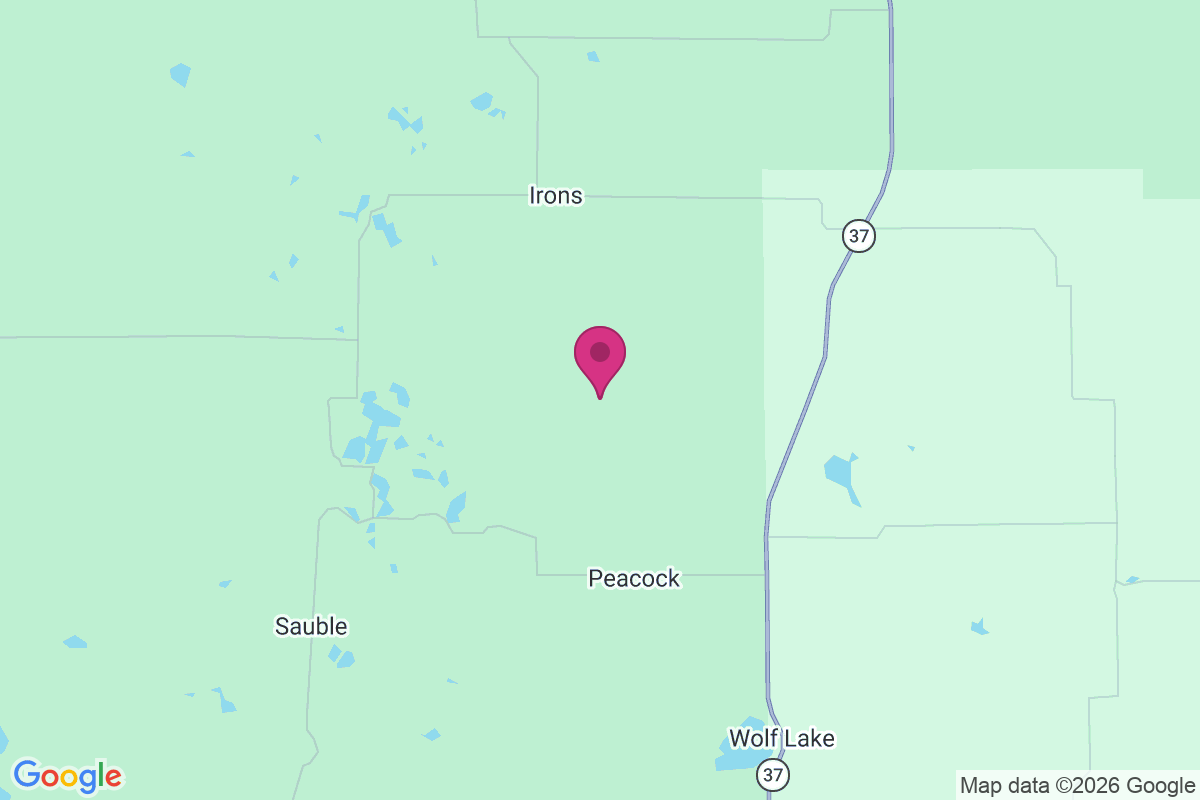 Carte de Little Manistee