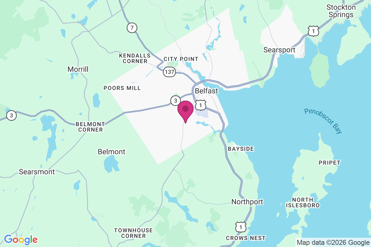 Carte de Dog Island Corner