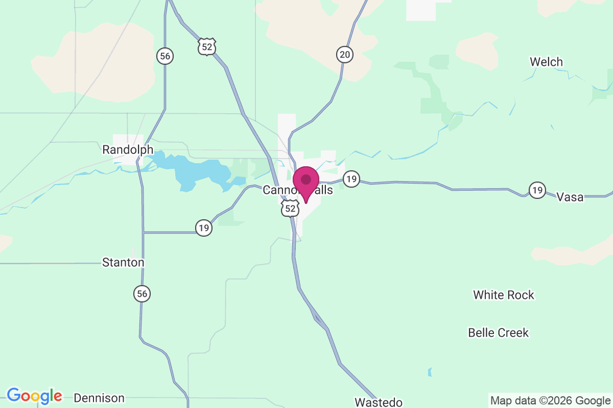 Carte de Cannon Falls