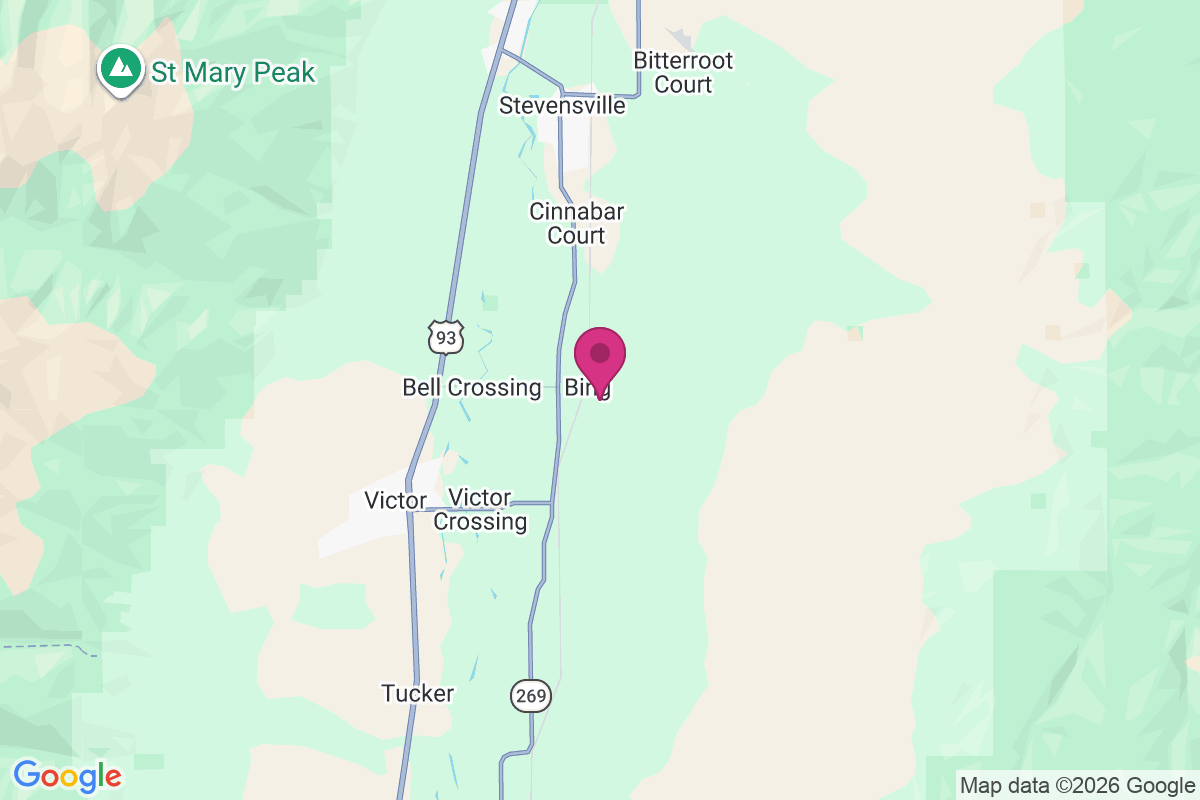 Carte de Bing