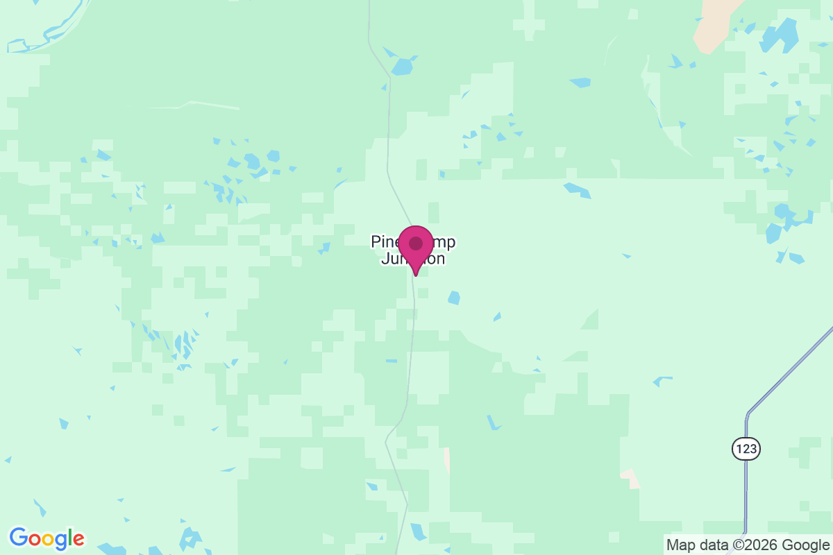Carte de Pine Stump Junction
