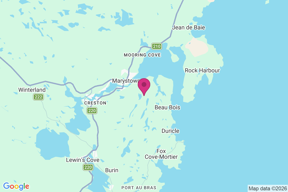 Carte de Little Bay