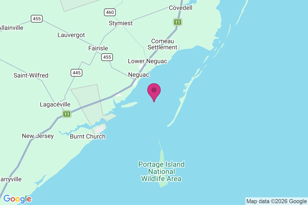 Carte de Neguac