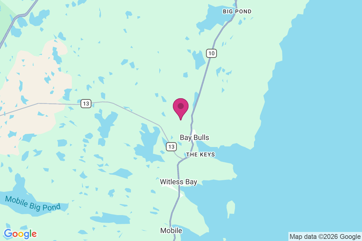 Carte de Bay Bulls