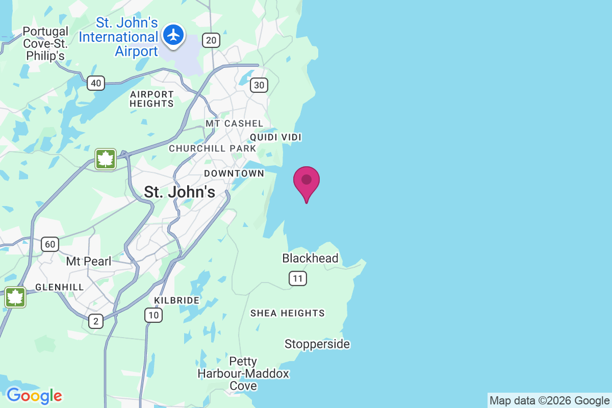 Carte de Saint Johns