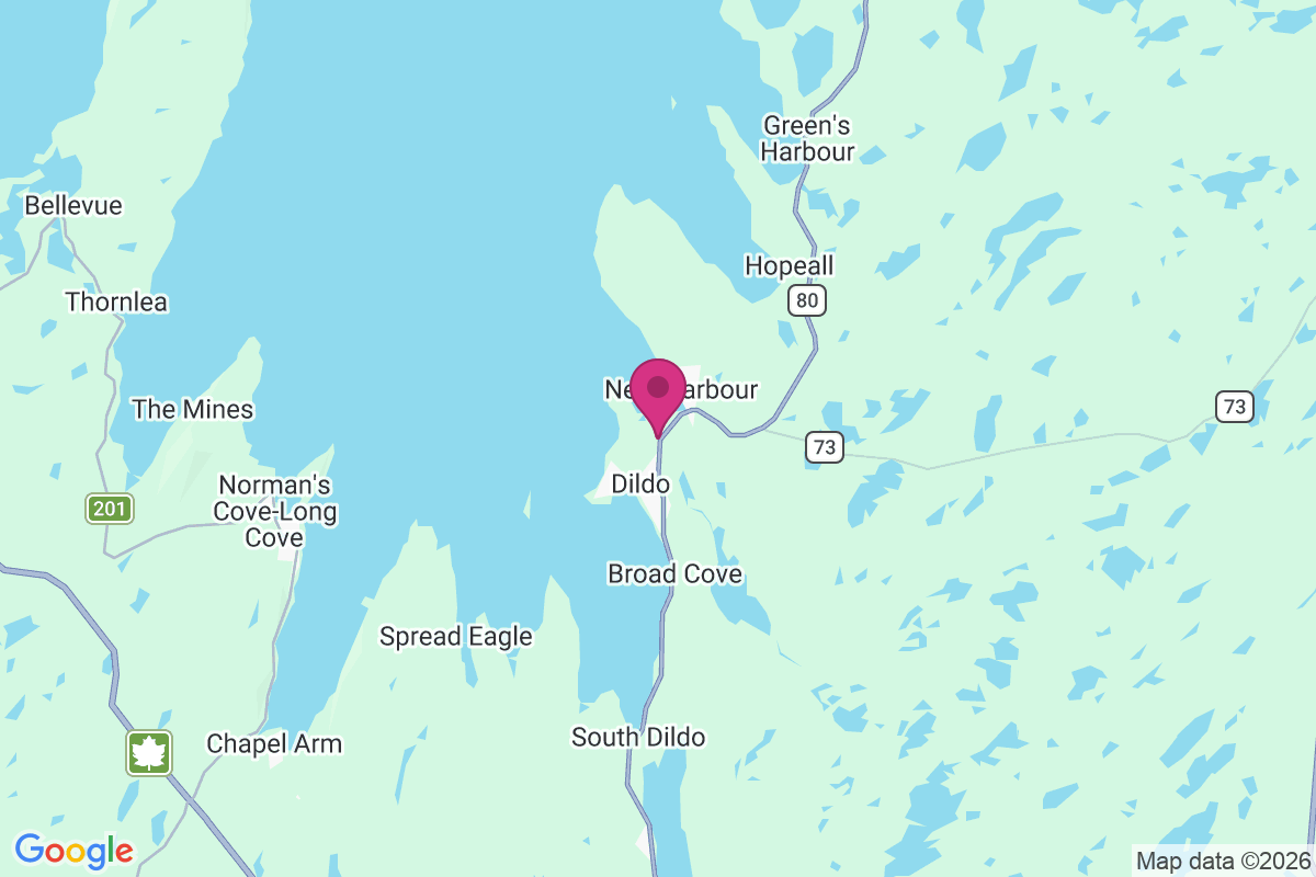 Carte de New Harbour