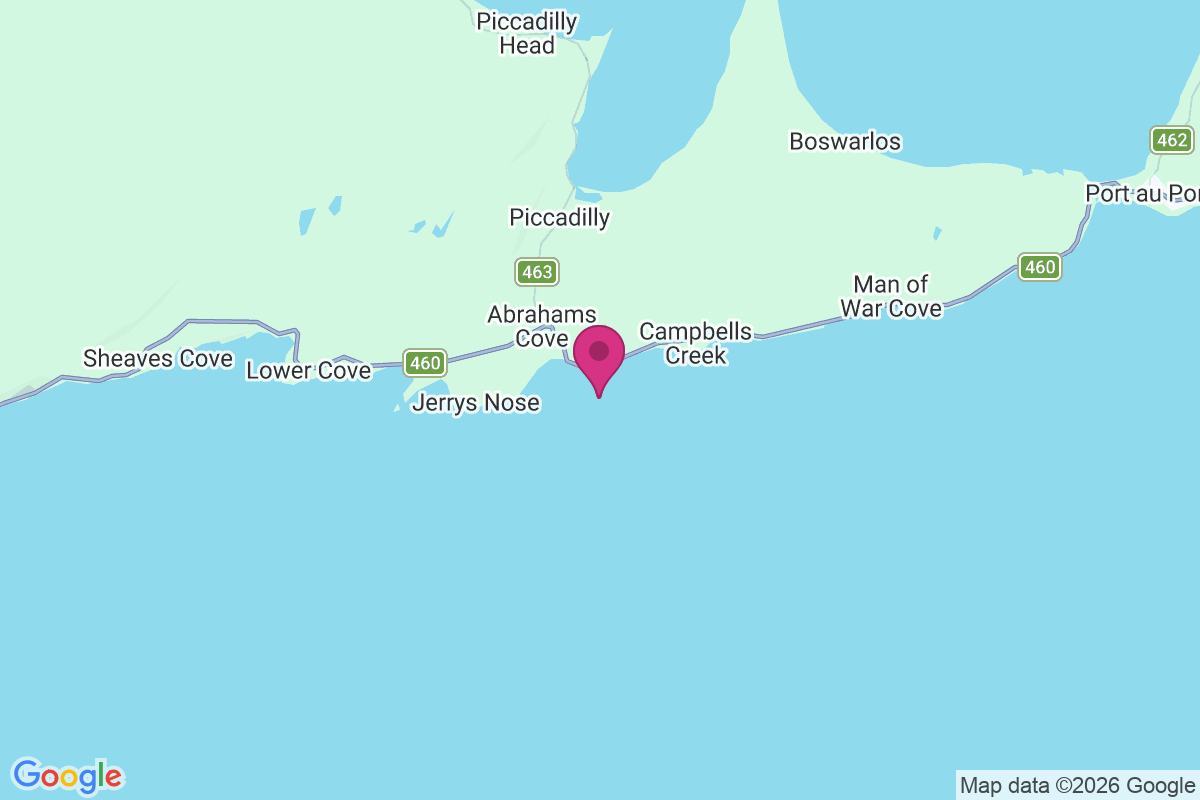 Carte de Abrahams Cove