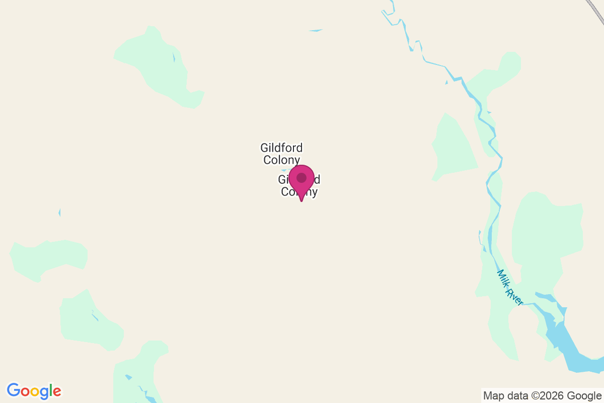 Carte de Gildford Colony