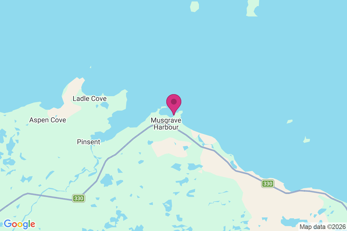 Carte de Musgrave Harbour