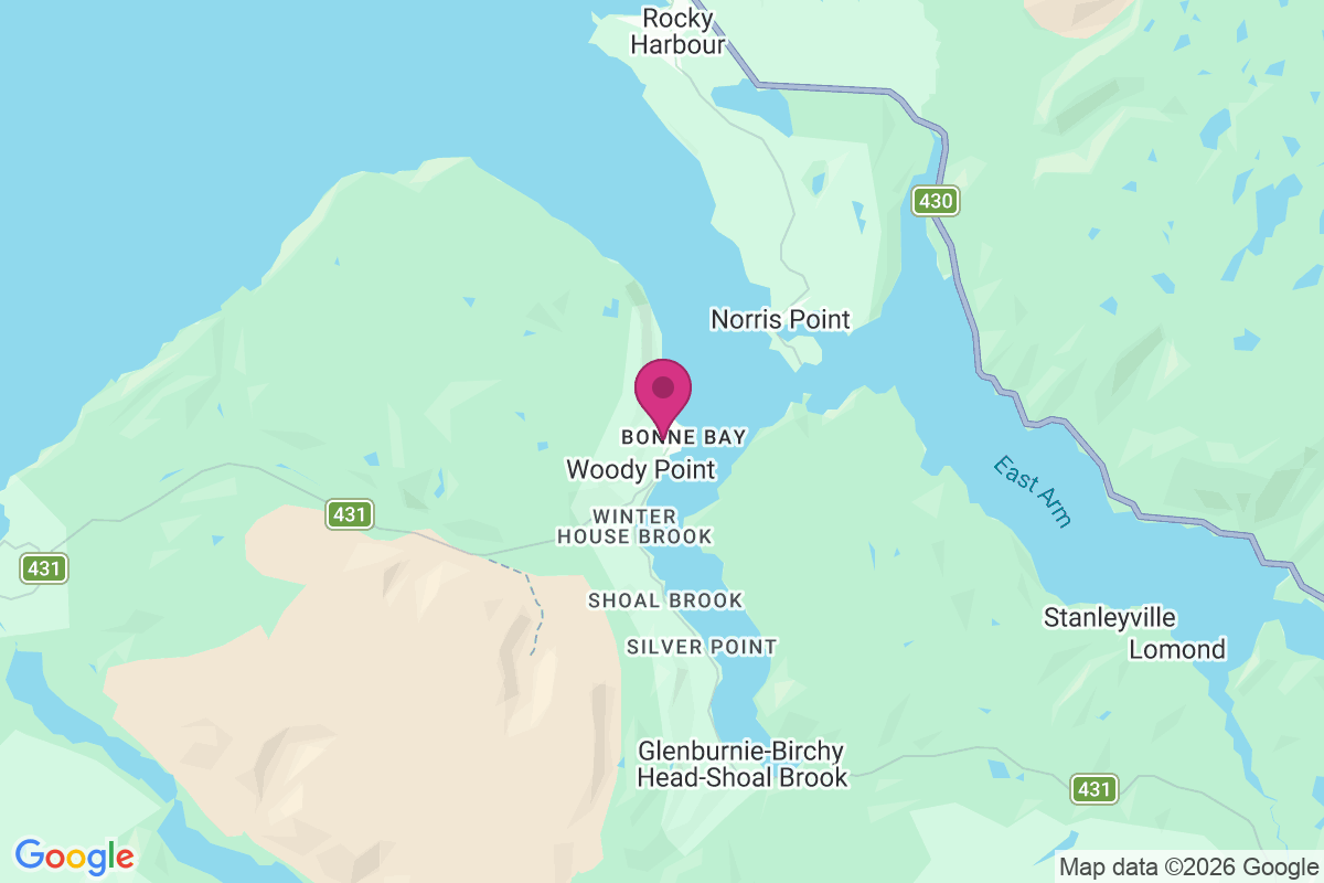Carte de Birchy Head