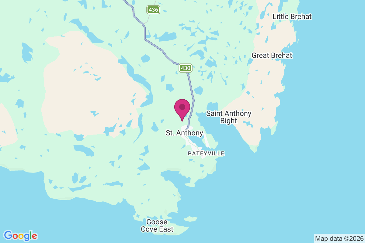 Carte de Saint Anthony Harbour