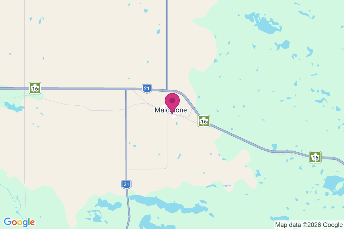 Carte de Waseca