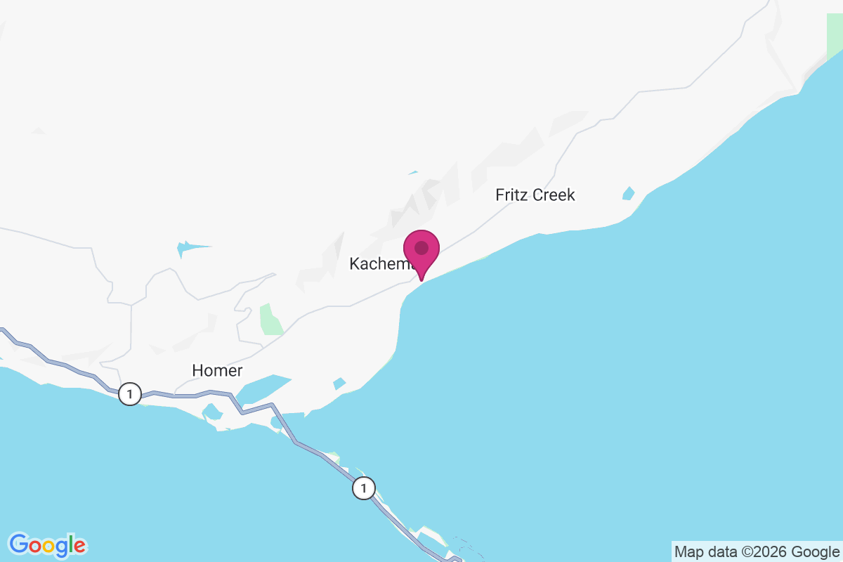 Carte de Kachemak City