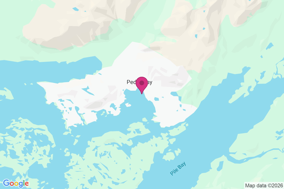Carte de Pedro Bay