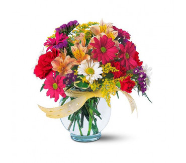 Healifty 50 pcs Fleur tubes fioles à fleurs Plastique Fleur Réservoir à eau fleuriste arrangements floraux Fournitures 