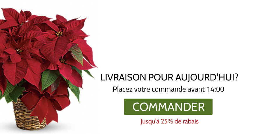 Besoin d'une livraison de fleurs aujourd'hui?